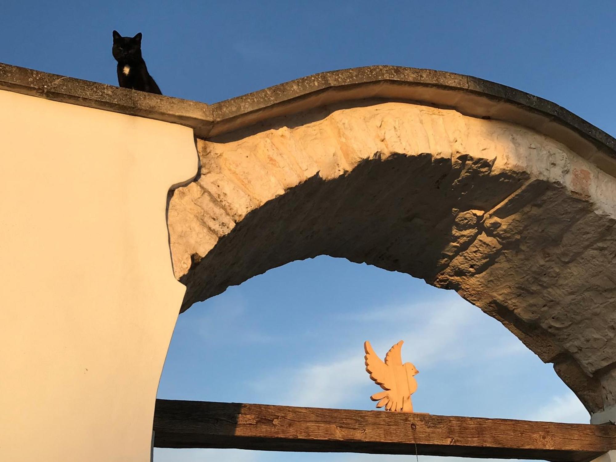 Relais Masseria Della Colomba - Agriturismo Francavilla Fontana Luaran gambar