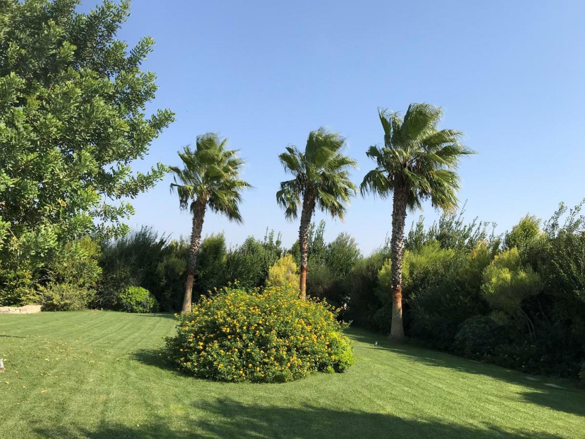 Relais Masseria Della Colomba - Agriturismo Francavilla Fontana Luaran gambar