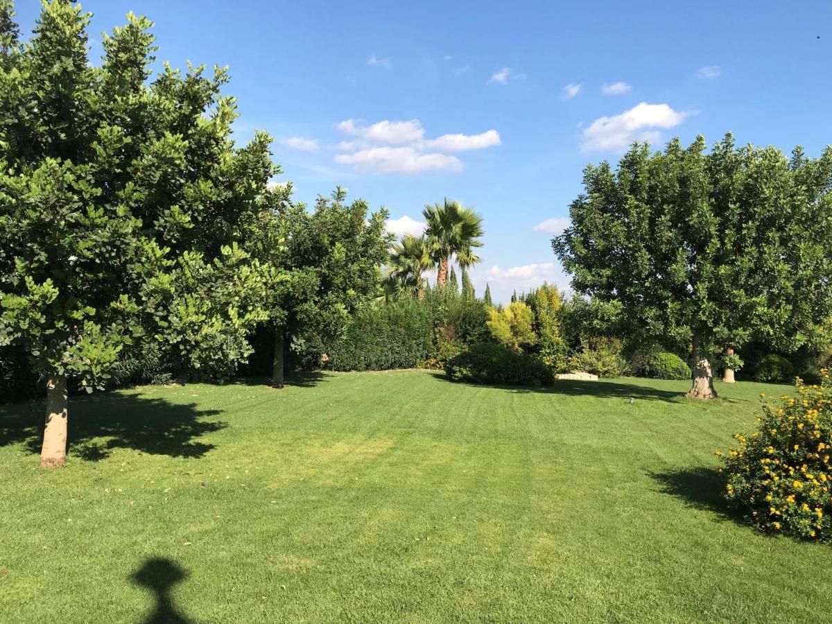 Relais Masseria Della Colomba - Agriturismo Francavilla Fontana Luaran gambar